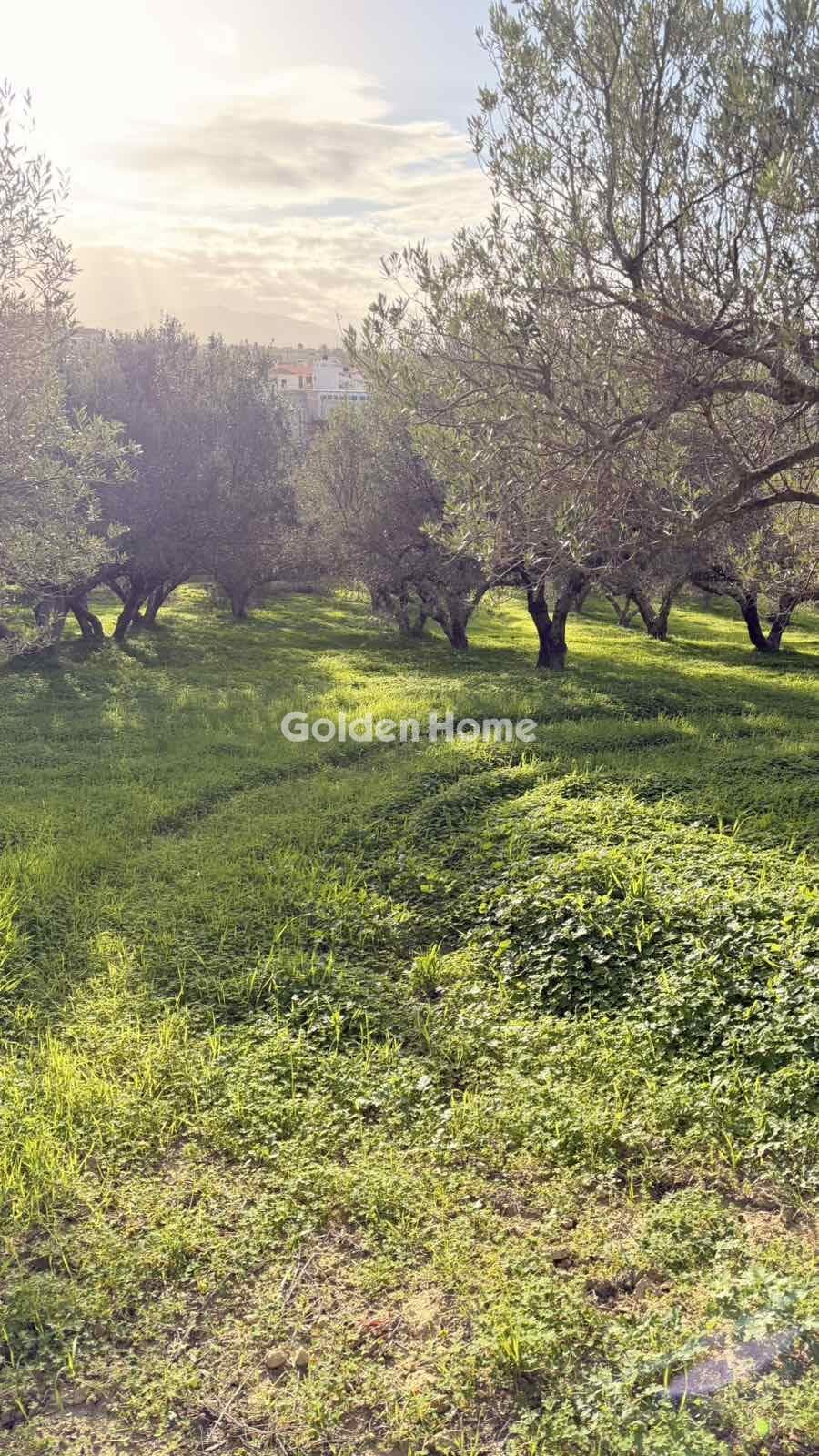 Building Plot in Epano Vatheia, Episkopi — Photo 5 of 12