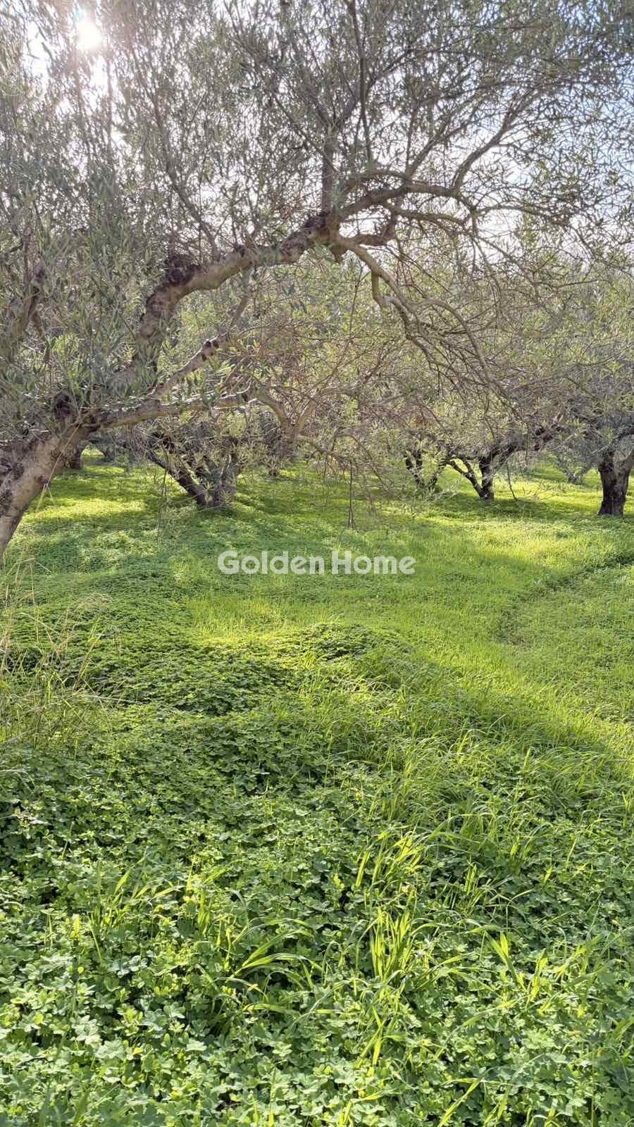 Building Plot in Epano Vatheia, Episkopi — Photo 6 of 12