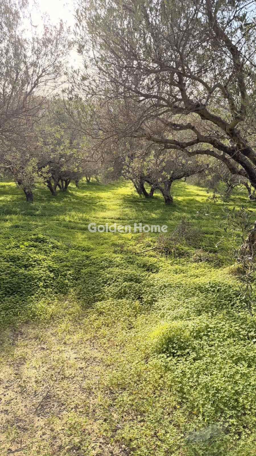 Building Plot in Epano Vatheia, Episkopi — Photo 2 of 12