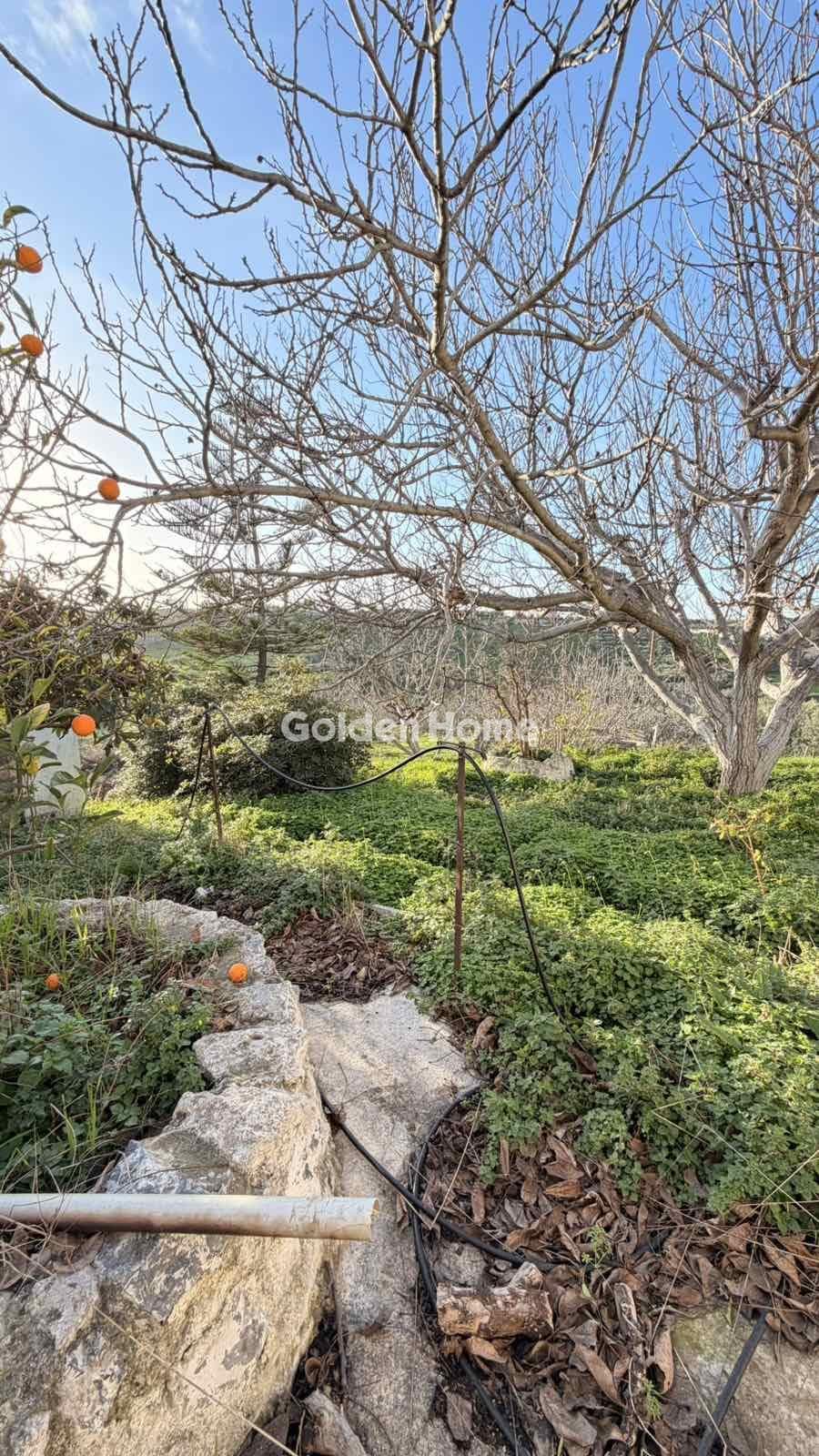 Building Plot in Epano Vatheia, Episkopi — Photo 5 of 21