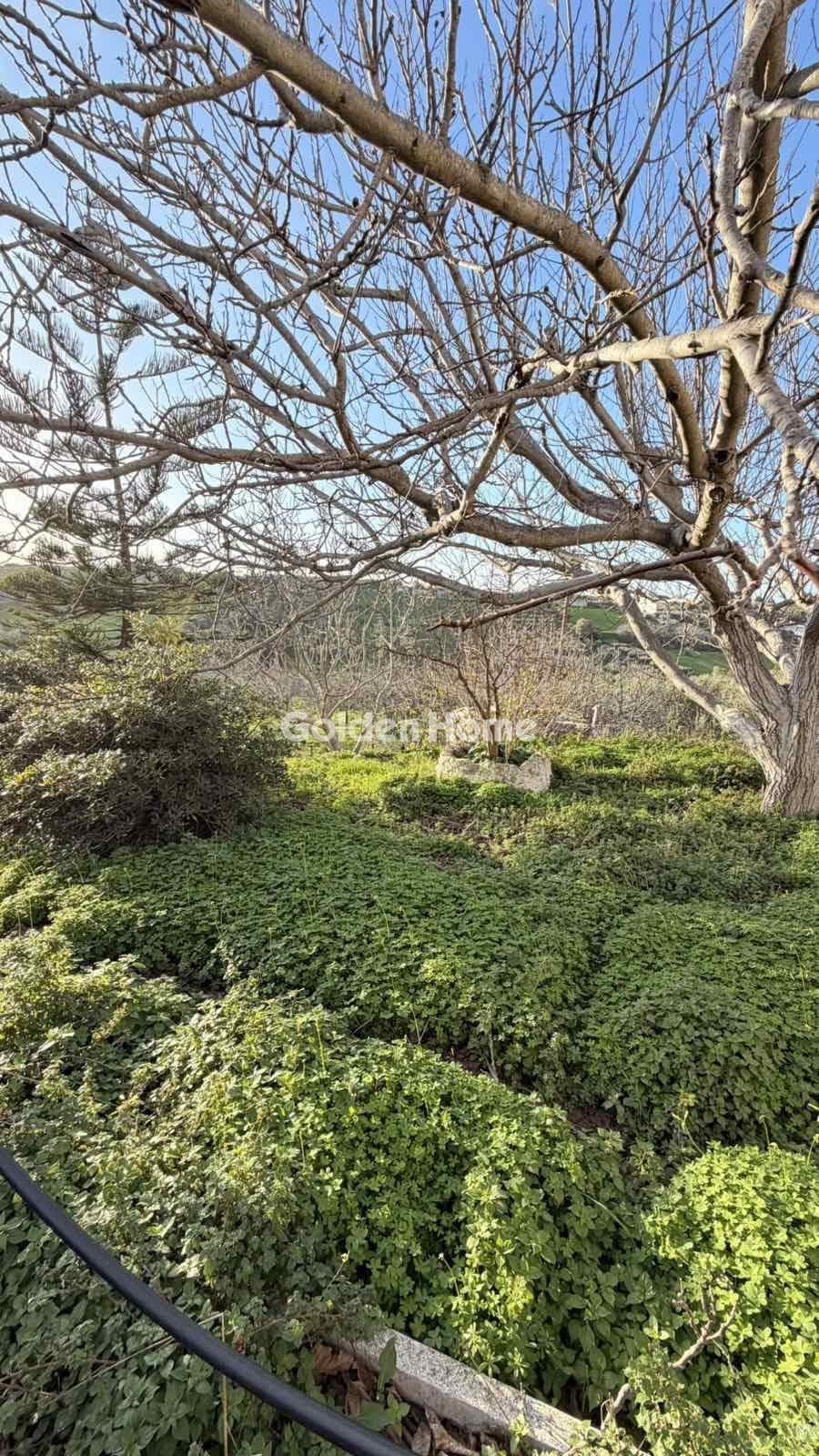 Building Plot in Epano Vatheia, Episkopi — Photo 7 of 21
