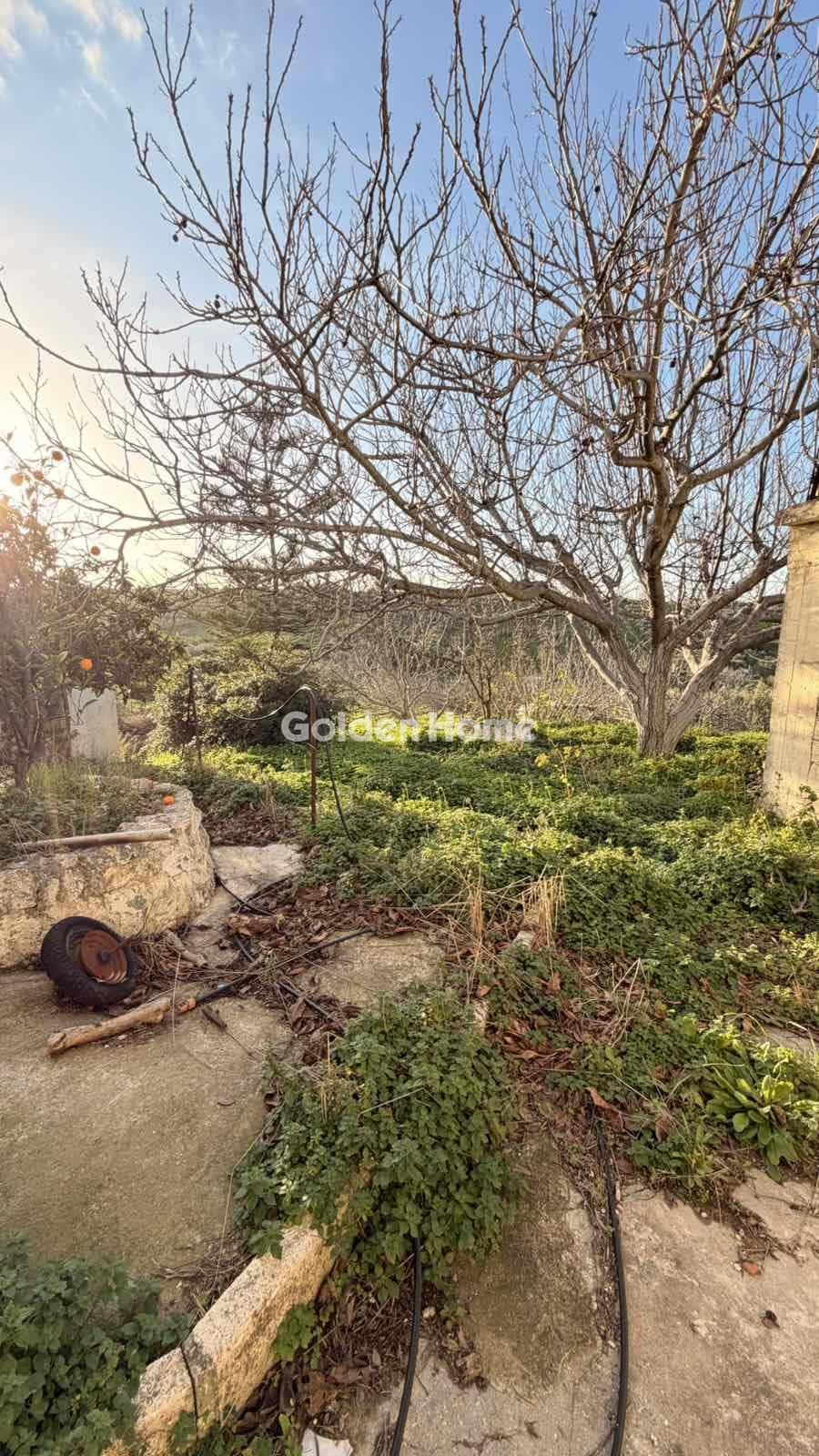 Building Plot in Epano Vatheia, Episkopi — Photo 8 of 21