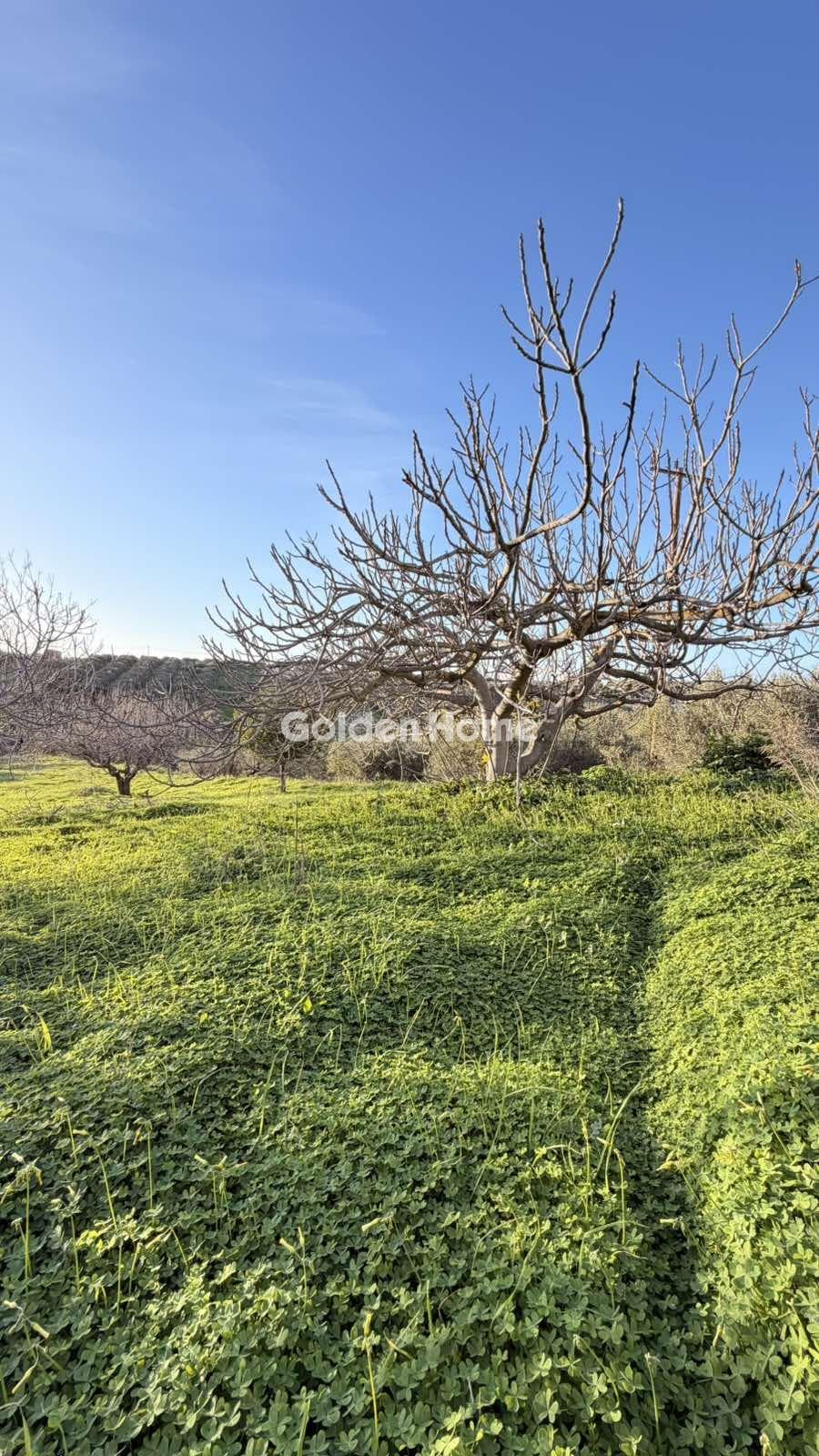 Building Plot in Epano Vatheia, Episkopi — Photo 9 of 21