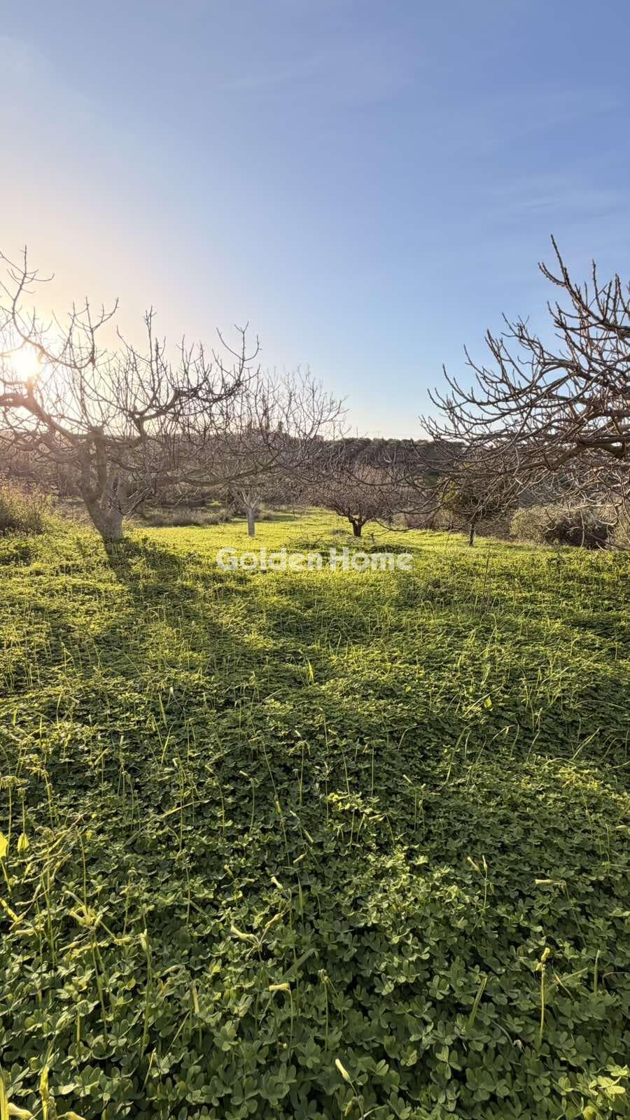 Building Plot in Epano Vatheia, Episkopi — Photo 11 of 21
