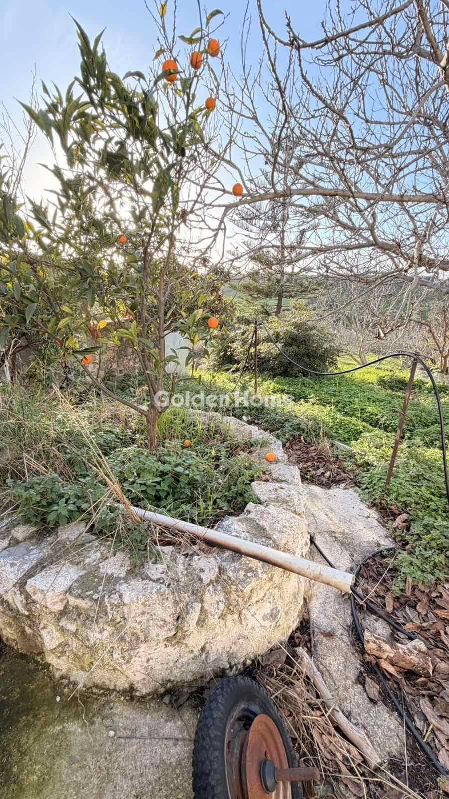 Building Plot in Epano Vatheia, Episkopi — Photo 12 of 21