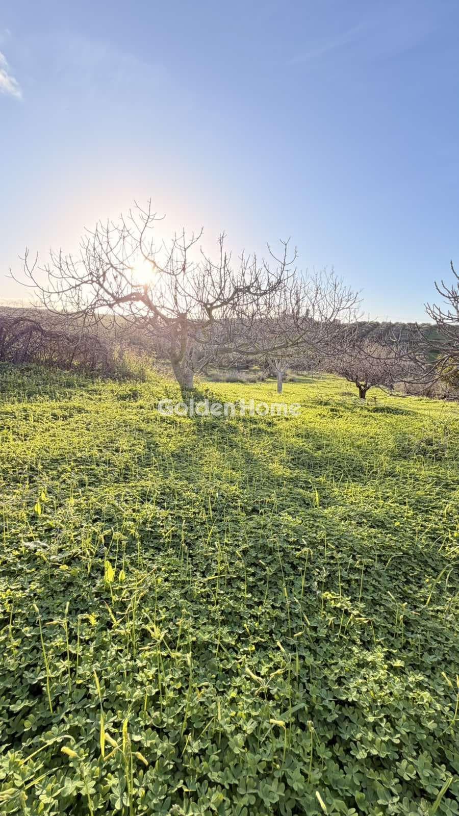 Building Plot in Epano Vatheia, Episkopi — Photo 15 of 21