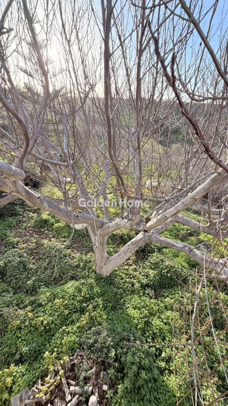 Building Plot in Epano Vatheia, Episkopi — Photo 17 of 21