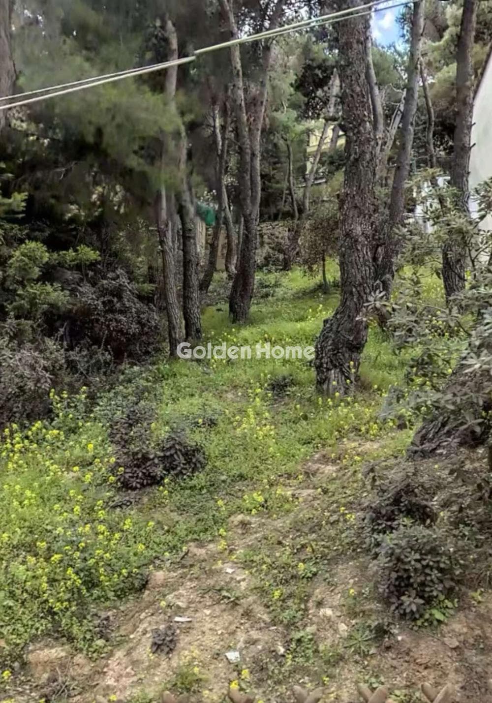 Οικόπεδο στην Αναγέννηση, Δροσιά — Φωτογραφία 3 από 3