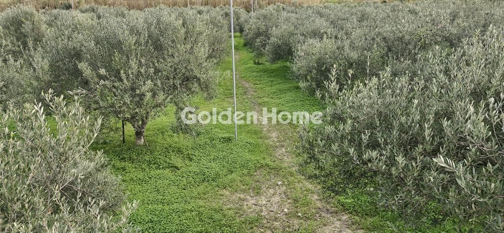 Building Plot in Agios Georgios o Methistis, Gazi — Photo 25 of 33