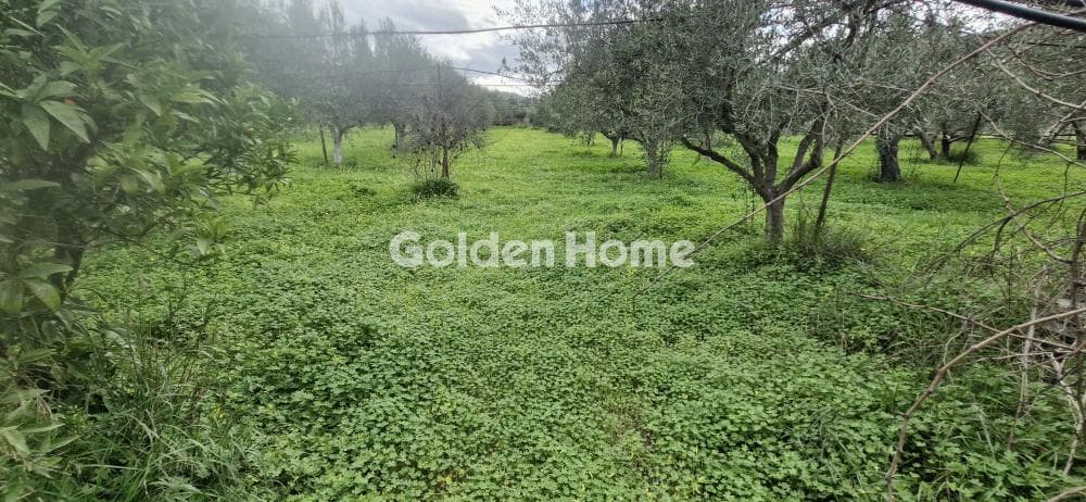 Building Plot in Agios Georgios o Methistis, Gazi — Photo 31 of 33