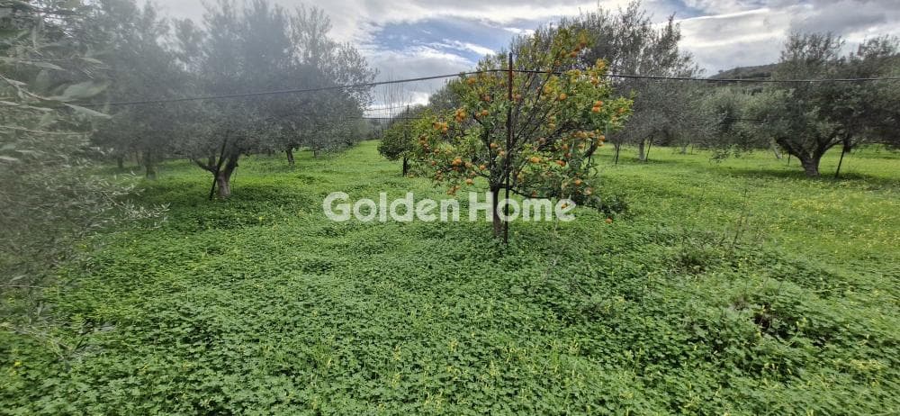 Building Plot in Agios Georgios o Methistis, Gazi — Photo 32 of 33