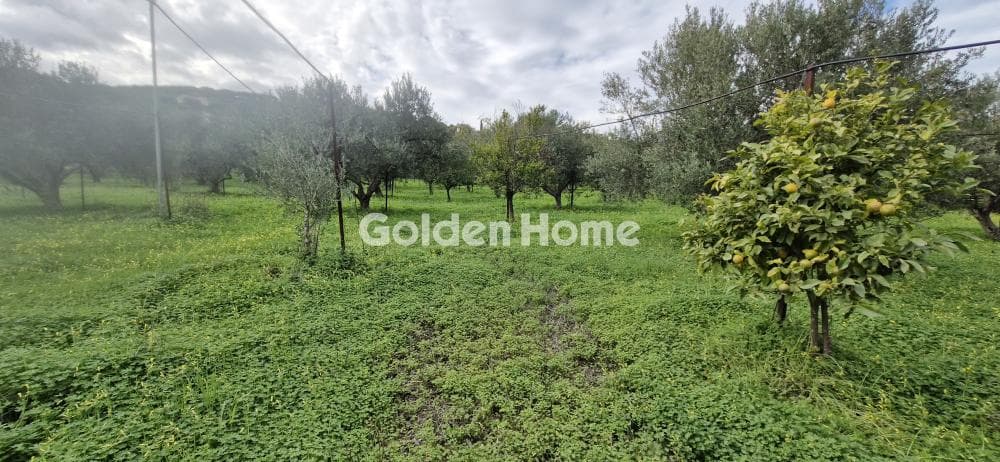 Building Plot in Agios Georgios o Methistis, Gazi — Photo 33 of 33