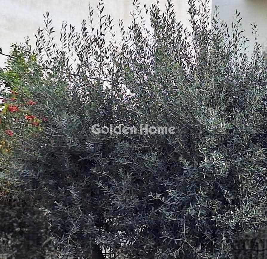 Οικόπεδο στην Αγία Τριάδα, Ηράκλειο — Φωτογραφία 1 από 3
