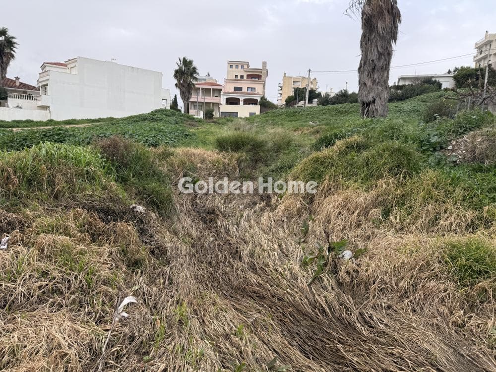 Building Plot in Center, Markopoulo — Photo 10 of 10