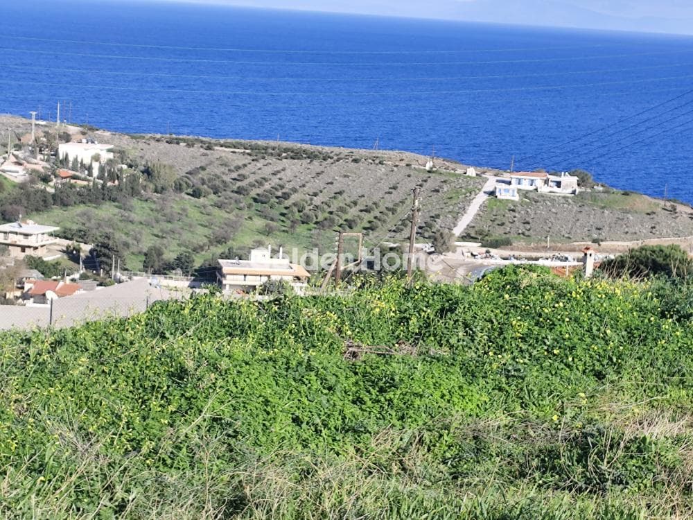 Parcel in Porto Ennia, Keratea — Photo 13 of 32