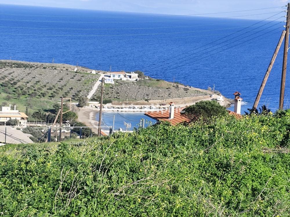 Parcel in Porto Ennia, Keratea — Photo 6 of 32