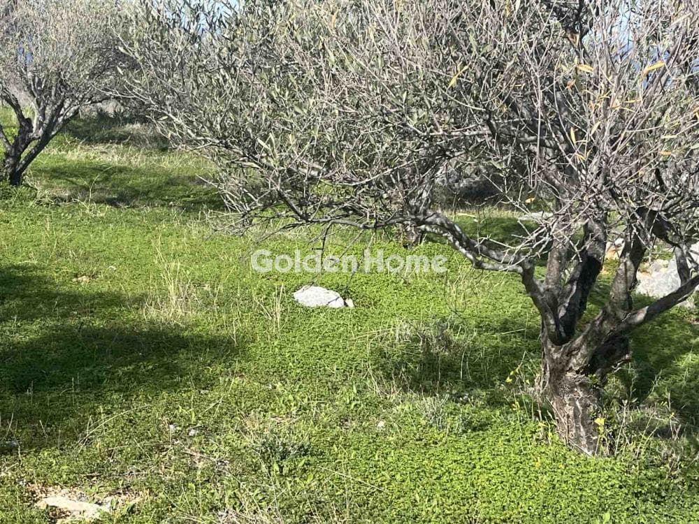 Οικόπεδο στην Κέντρο, Γούβες