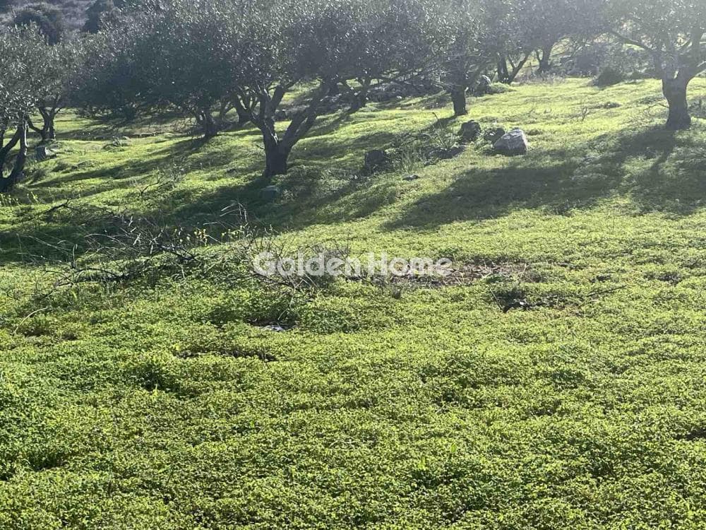 Building Plot in Center, Gouves — Photo 1 of 5