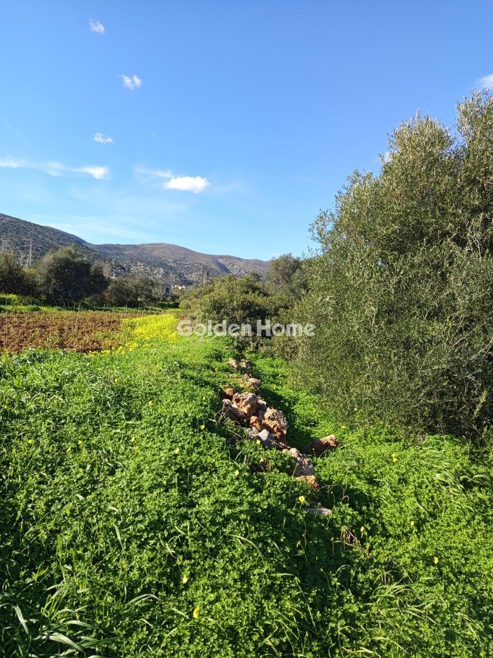 Building Plot in Center, Mallia — Photo 1 of 4