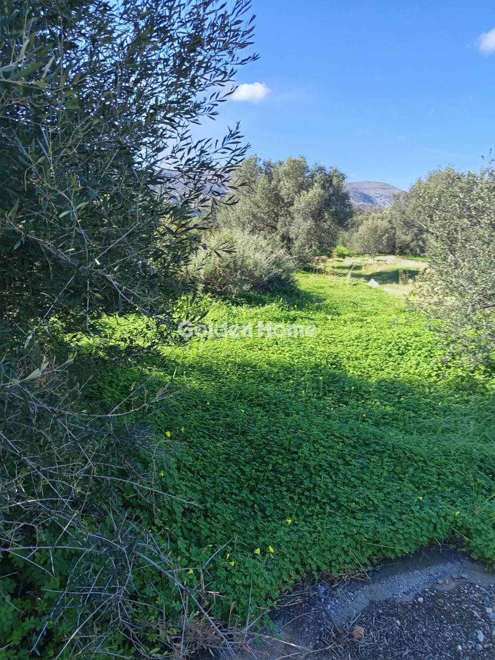 Building Plot in Center, Mallia — Photo 2 of 4