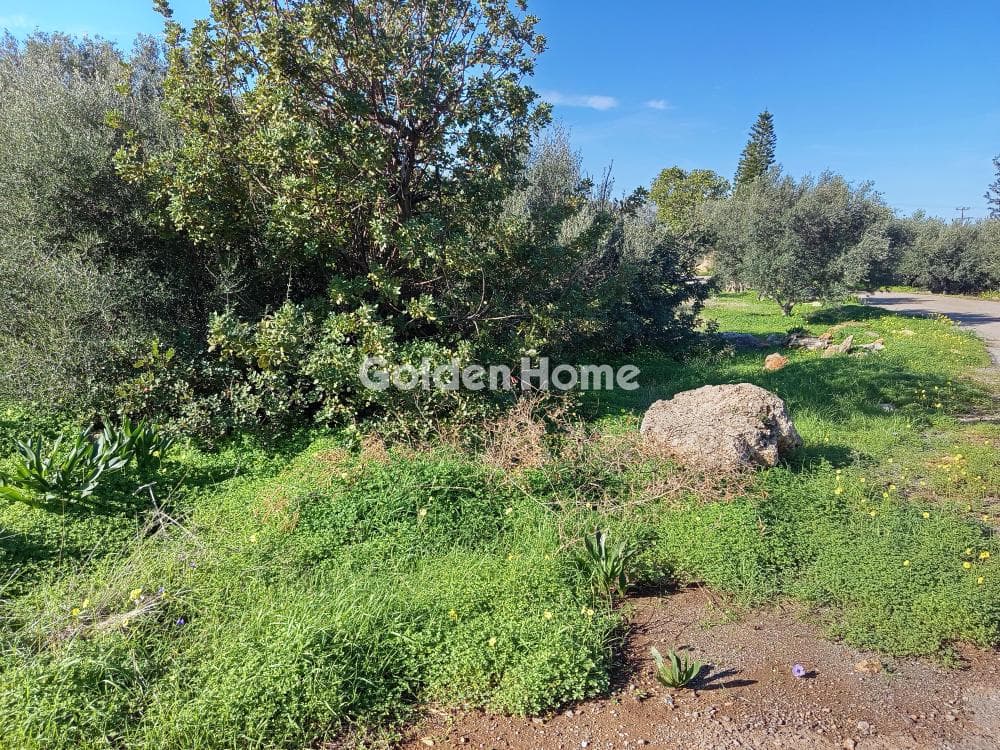 Building Plot in Center, Mallia — Photo 3 of 4