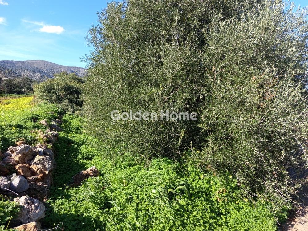 Building Plot in Center, Mallia — Photo 4 of 4