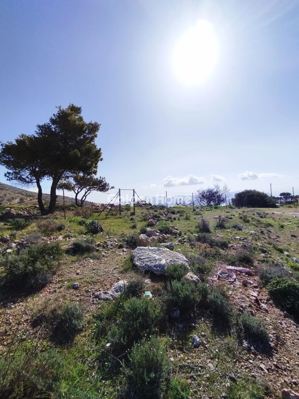 Οικόπεδο στην Σαρωνίδα, Σαρωνίδα — Φωτογραφία 3 από 7