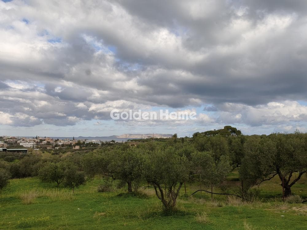 Οικόπεδο στην Γούρνες, Γούβες — Φωτογραφία 12 από 12