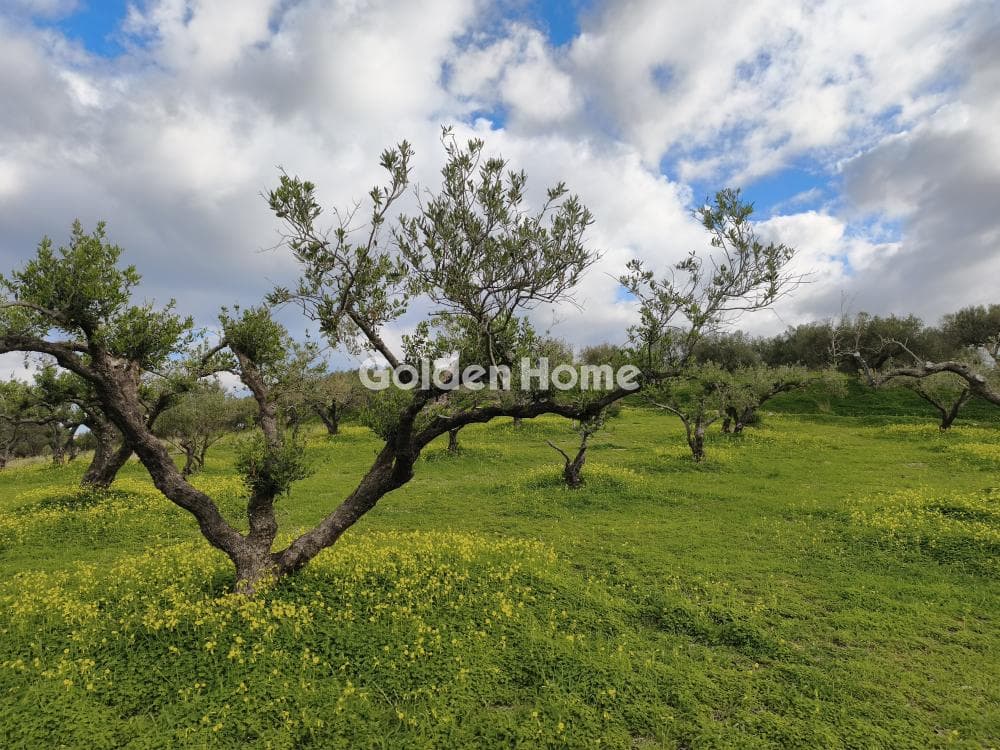 Οικόπεδο στην Γούρνες, Γούβες — Φωτογραφία 10 από 12