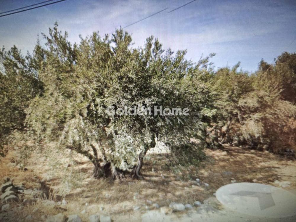 Οικόπεδο στην Ζεφυρία, Μήλος — Φωτογραφία 4 από 4