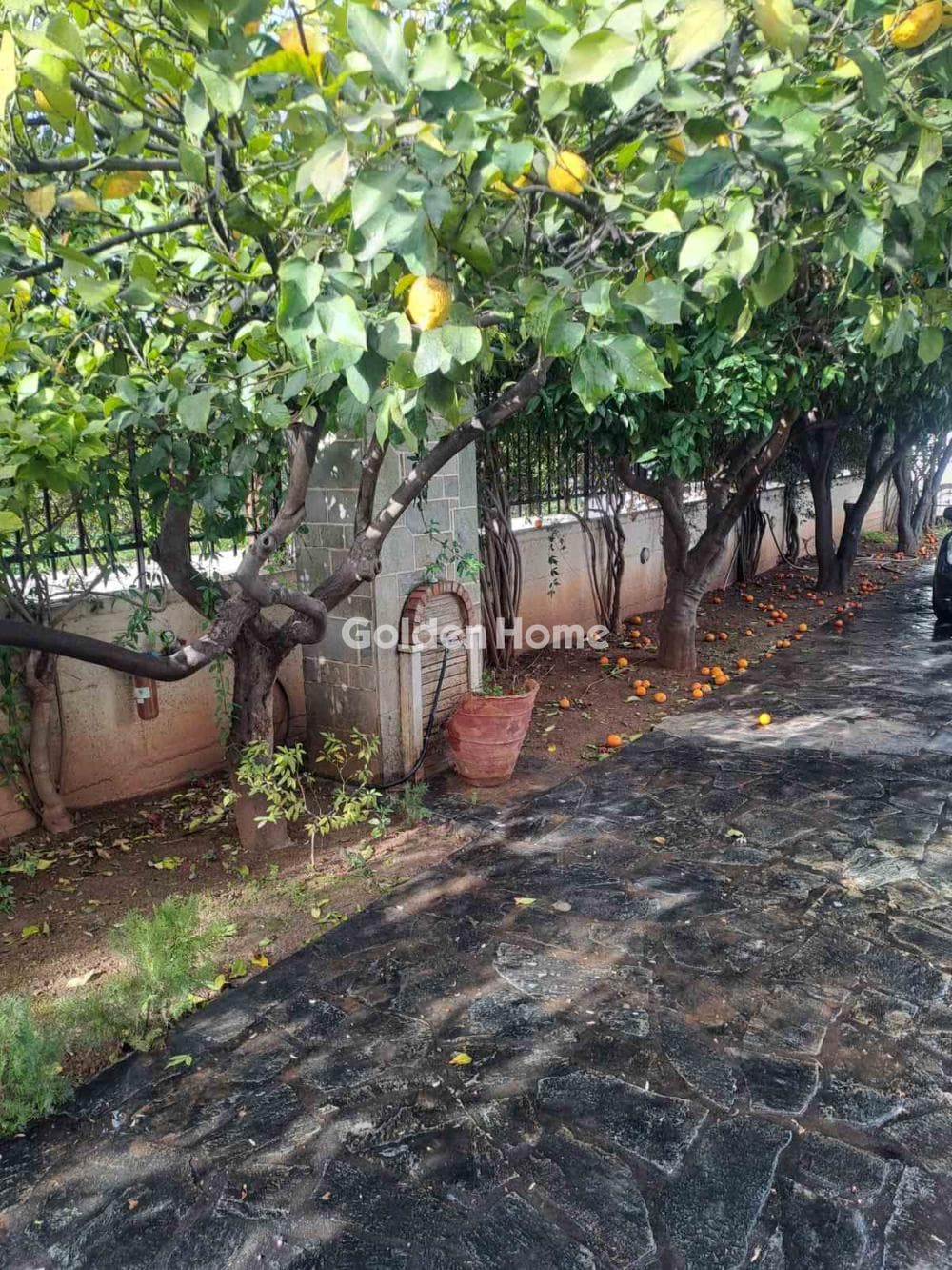Μονοκατοικία στην Ταρσινά, Βέλο — Φωτογραφία 24 από 28