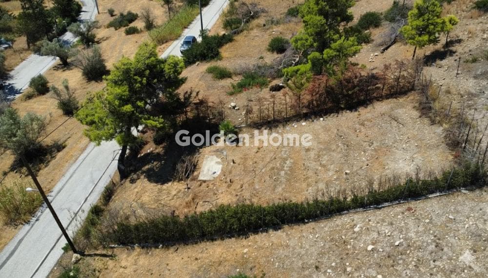 Οικόπεδο στην Νέα Παλλήνη, Παλλήνη — Φωτογραφία 1 από 3