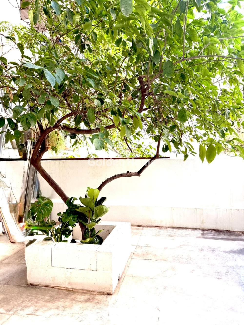 Apartment in Varnava, Ekali — Photo 16 of 37