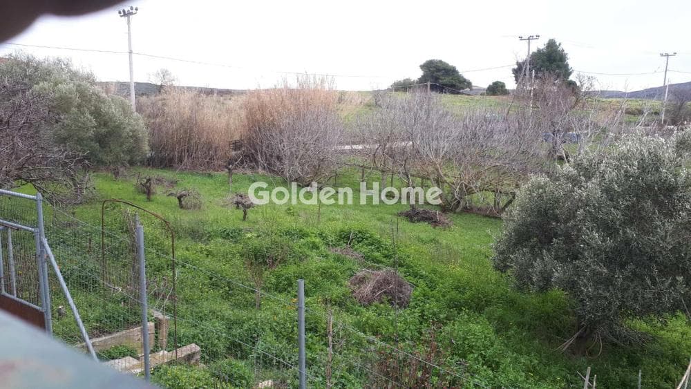 House in Center, Com. Kapandriti — Photo 3 of 19