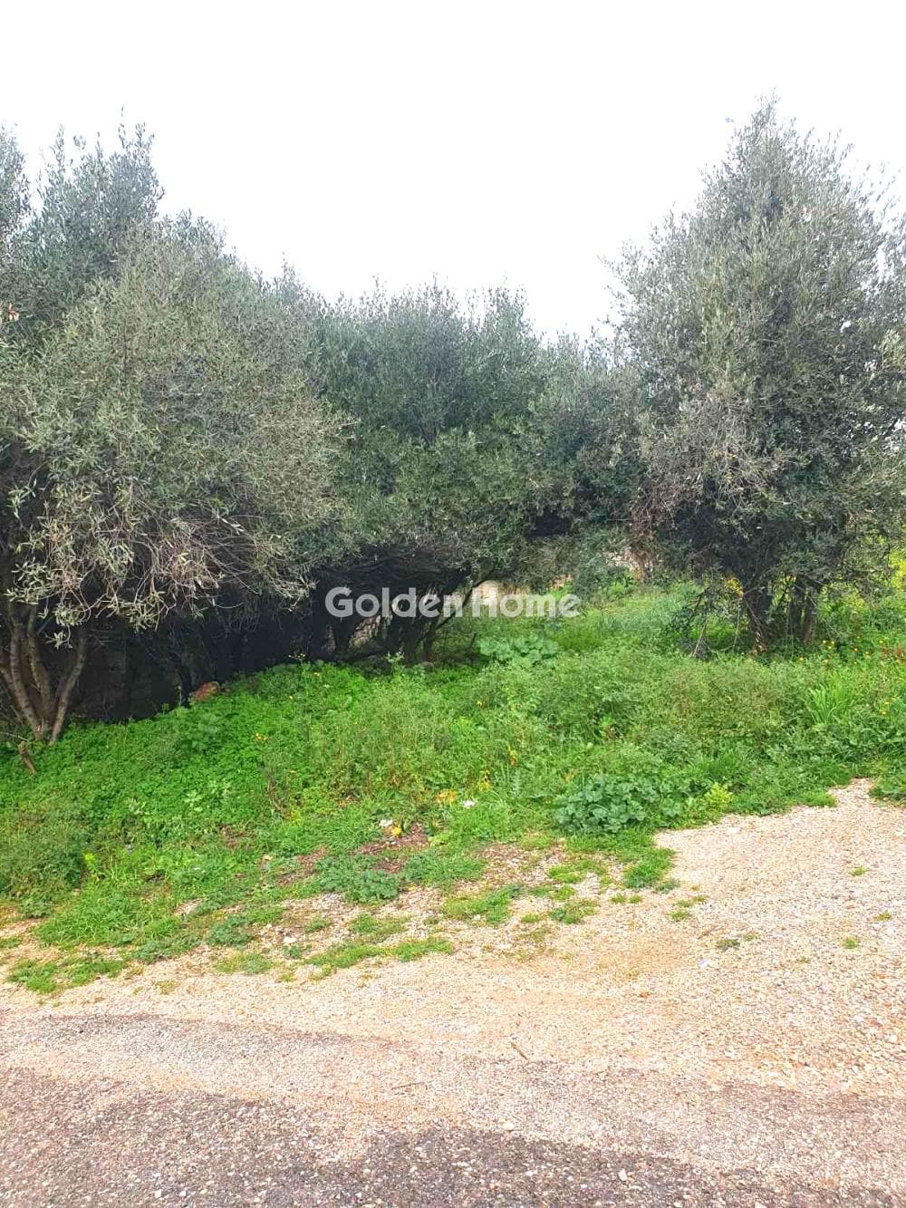 Building Plot in Agia Paraksevi, Anoixi — Photo 3 of 3