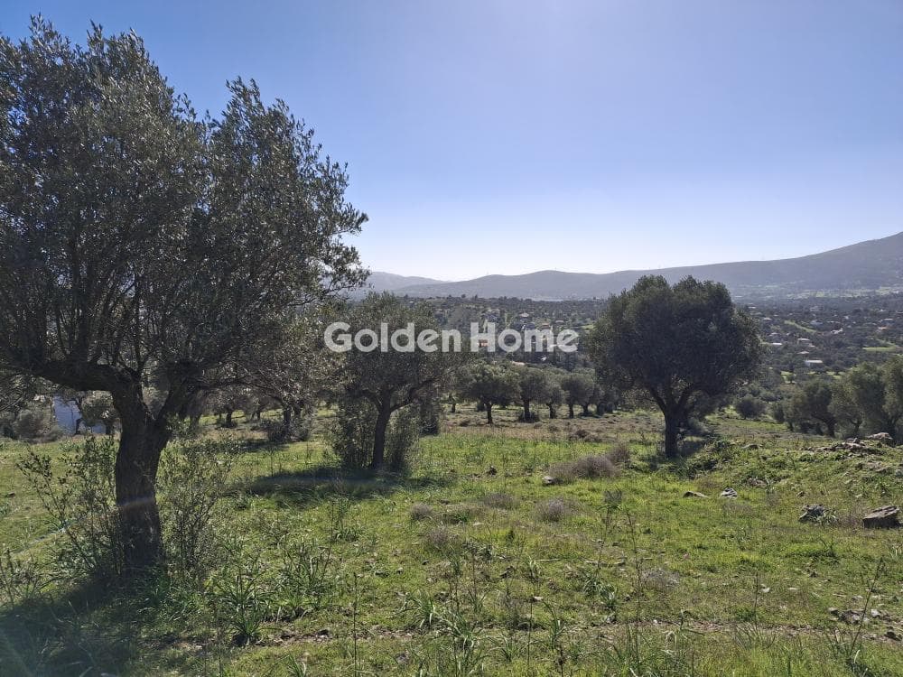 Parcel in Rountzeri Lemprou, Keratea — Photo 1 of 4
