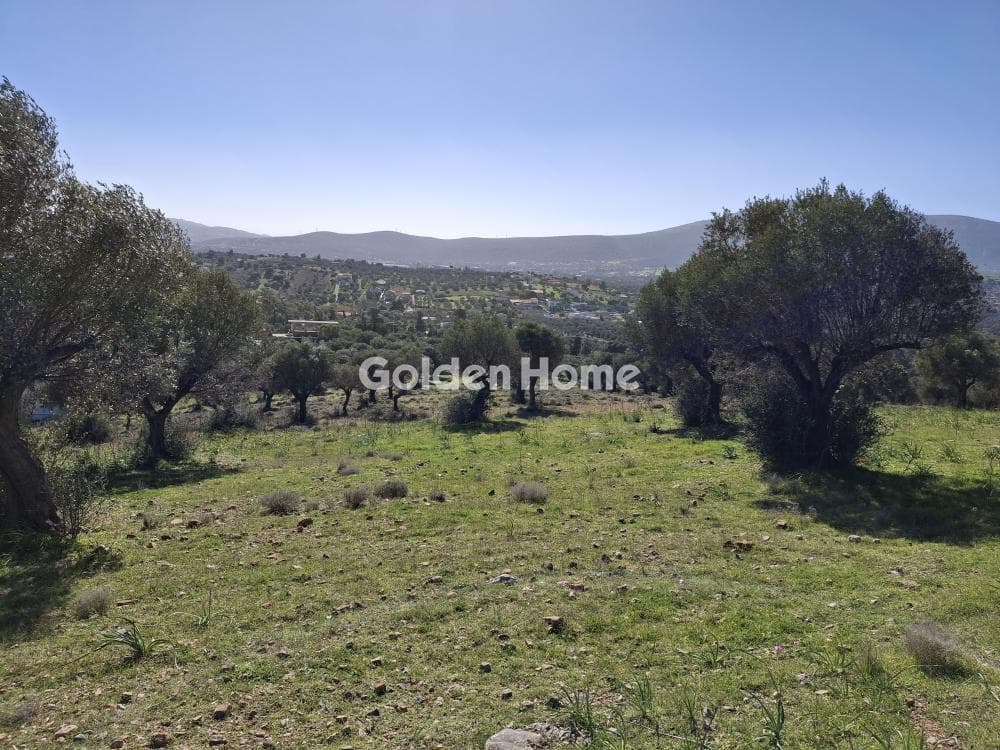 Parcel in Rountzeri Lemprou, Keratea — Photo 2 of 4