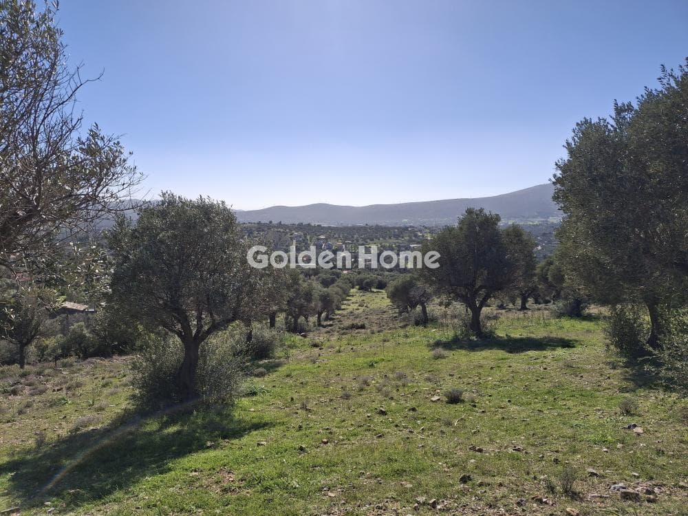 Parcel in Rountzeri Lemprou, Keratea — Photo 3 of 4