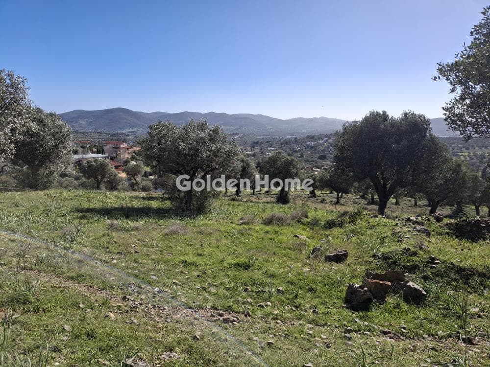 Parcel in Rountzeri Lemprou, Keratea — Photo 4 of 4