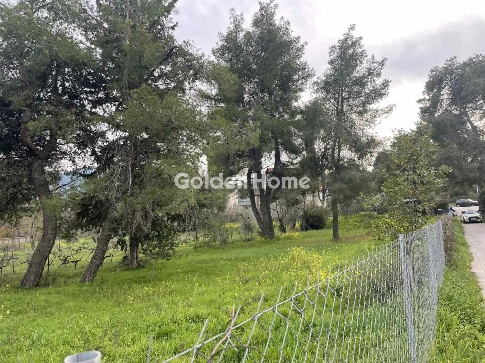 Οικόπεδο στην Δροσιά, Δροσιά — Φωτογραφία 1 από 12