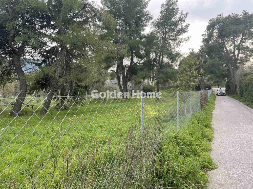 Οικόπεδο στην Δροσιά, Δροσιά — Φωτογραφία 3 από 12