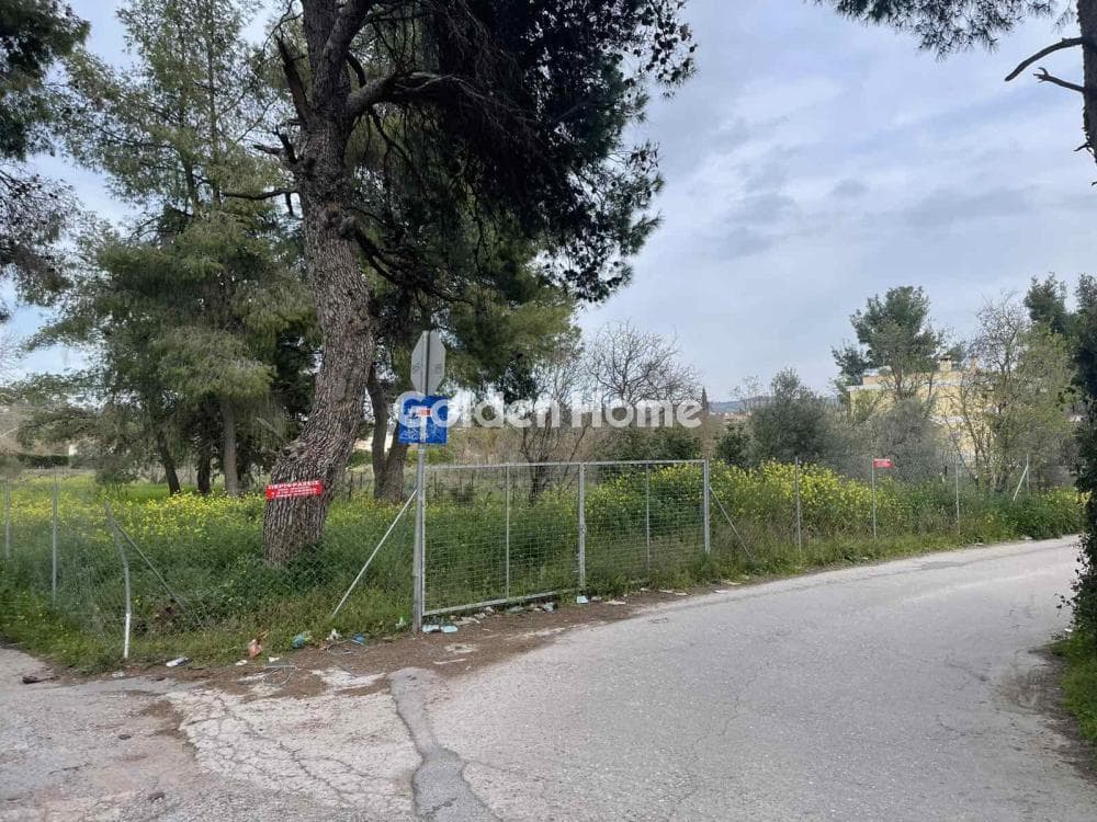 Οικόπεδο στην Δροσιά, Δροσιά — Φωτογραφία 5 από 12