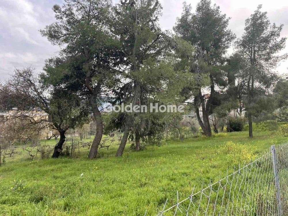 Οικόπεδο στην Δροσιά, Δροσιά — Φωτογραφία 7 από 12