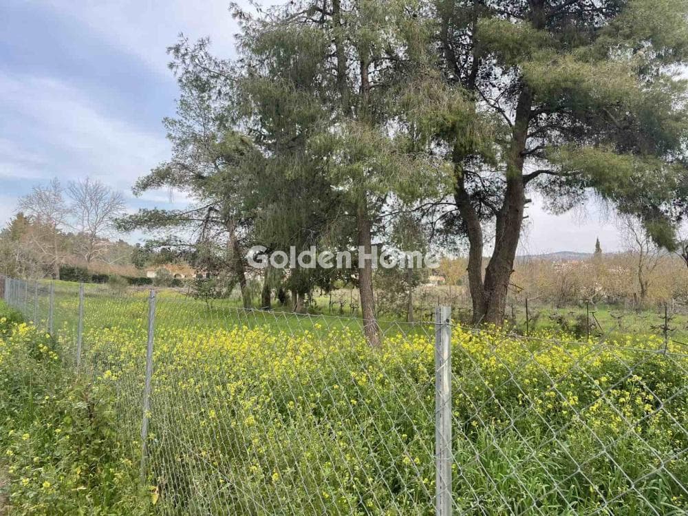 Οικόπεδο στην Δροσιά, Δροσιά — Φωτογραφία 12 από 12
