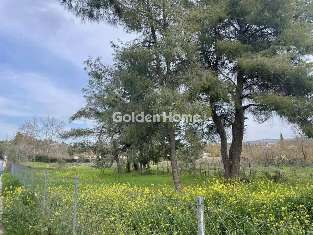 Οικόπεδο στην Δροσιά, Δροσιά — Φωτογραφία 9 από 12