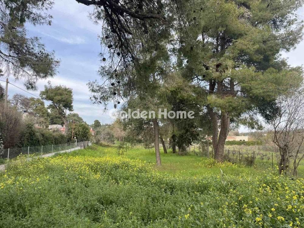 Οικόπεδο στην Δροσιά, Δροσιά — Φωτογραφία 10 από 12