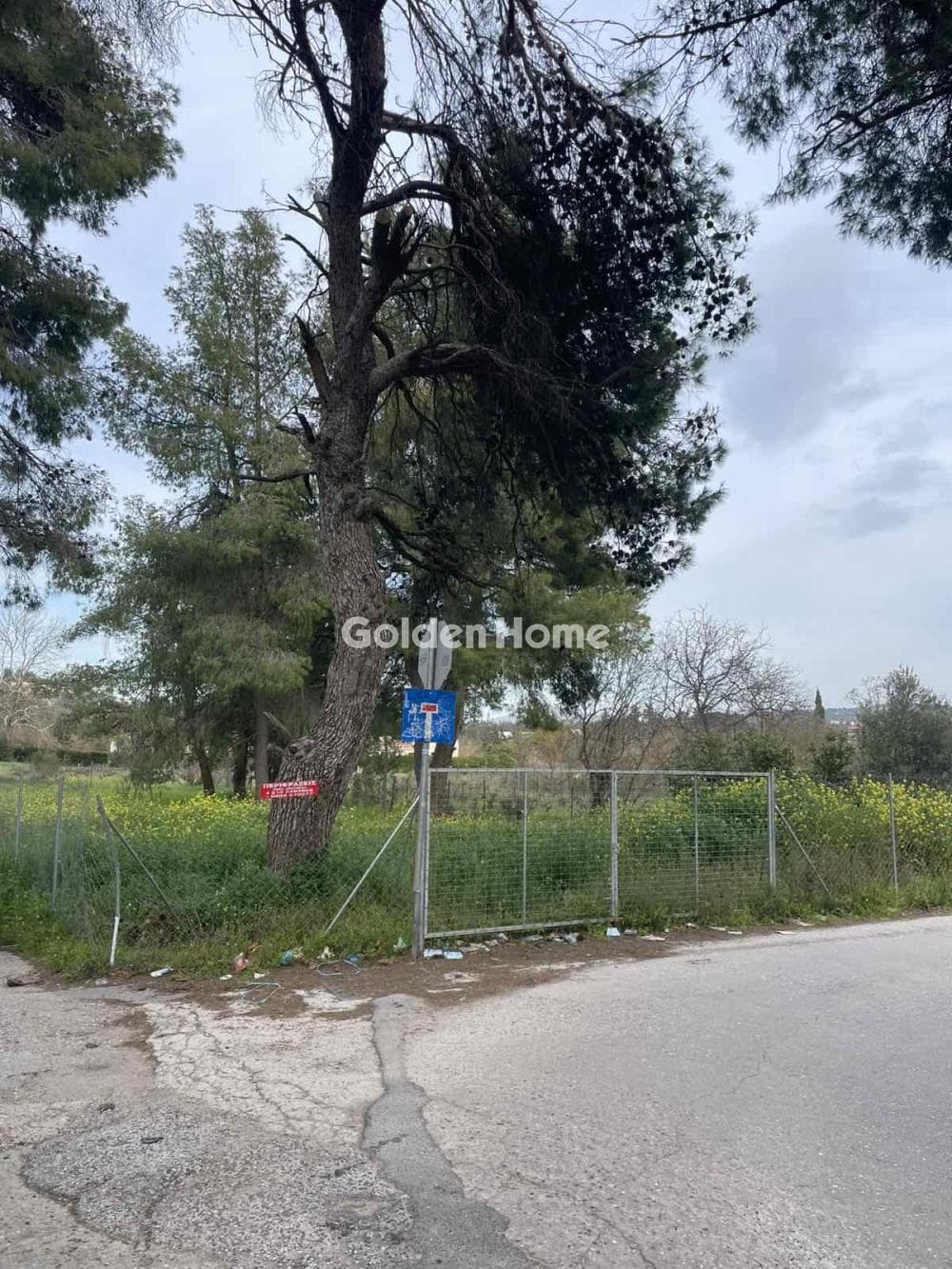 Οικόπεδο στην Δροσιά, Δροσιά — Φωτογραφία 11 από 12