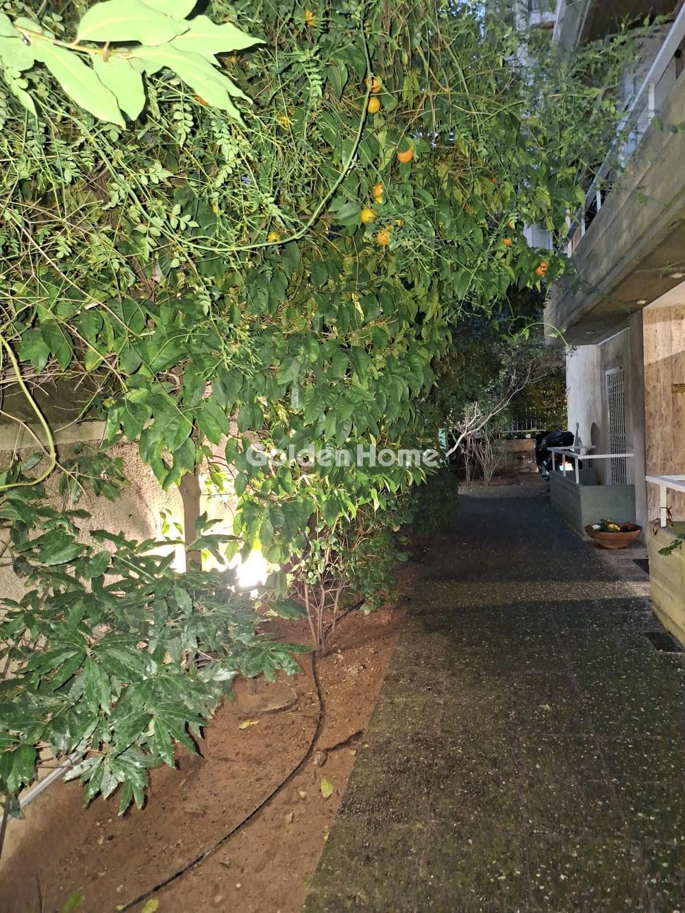 Γραφείο στην Μελιά, Άγιος Ελευθέριος - Προμπονά - Ριζούπολη — Φωτογραφία 10 από 10