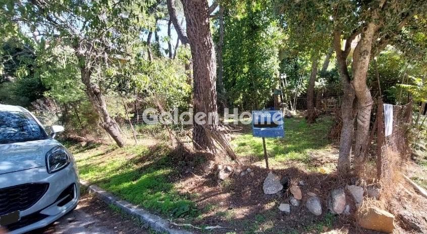 Οικόπεδο στην Δροσιά, Δροσιά — Φωτογραφία 2 από 3