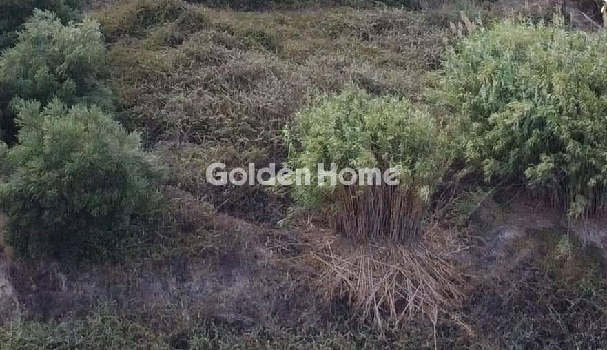 Building Plot in Mirtia, Episkopi
